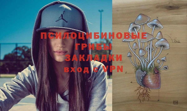 apvp Алексеевка